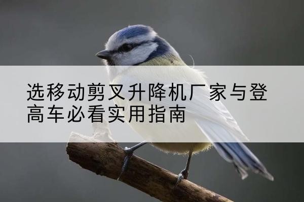 齐河电动升降机厂家-选移动剪叉升降机厂家与登高车必看实用指南