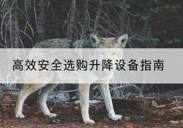 齐河升降货梯厂家推荐-*安全选购升降设备指南