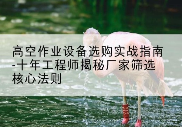 齐河剪叉式升降机厂家-高空作业设备选购实战指南-十年工程师揭秘厂家筛选核心法则